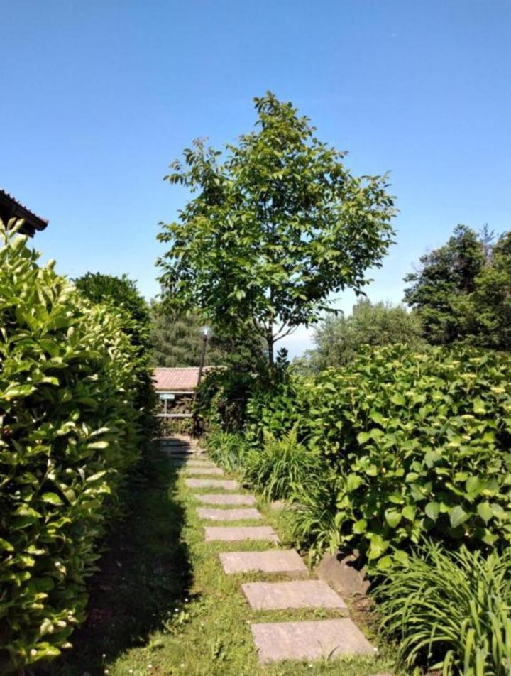 Holiday home Maison Al Nocin